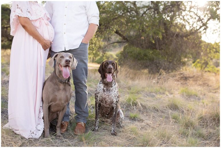 Pups and mom and dad maternity session in Sierra Vista Arizona